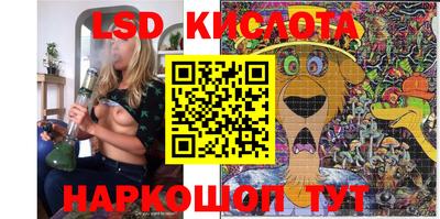 дмт Краснодар