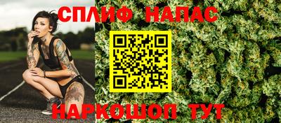дмт Краснодар