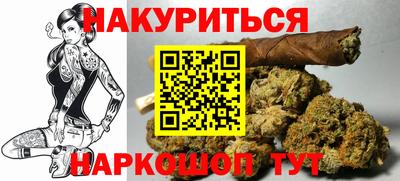 дмт Краснодар