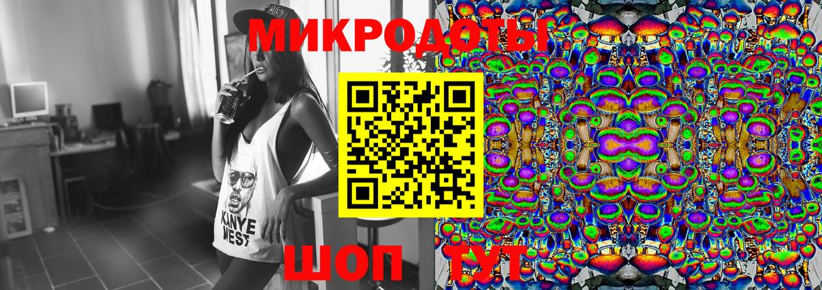 Псилоцибиновые грибы Psilocybe  Вход с VPN  Королёв 