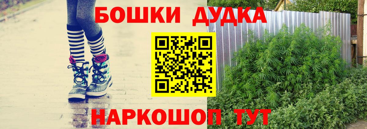 Бошки Шишки Amnesia Королёв
